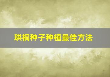 珙桐种子种植最佳方法