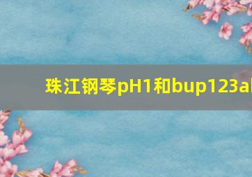 珠江钢琴pH1和bup123ab