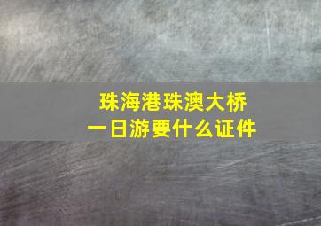 珠海港珠澳大桥一日游要什么证件