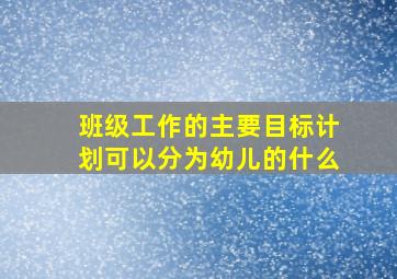 班级工作的主要目标计划可以分为幼儿的什么