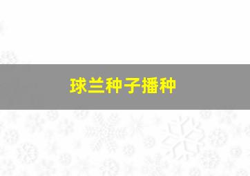 球兰种子播种