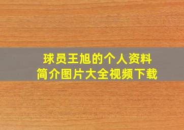 球员王旭的个人资料简介图片大全视频下载