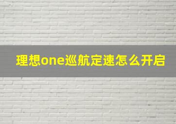 理想one巡航定速怎么开启