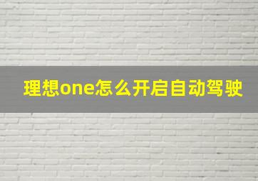 理想one怎么开启自动驾驶