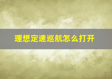 理想定速巡航怎么打开