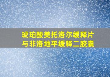 琥珀酸美托洛尔缓释片与非洛地平缓释二胶囊