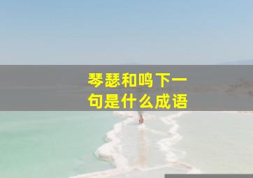 琴瑟和鸣下一句是什么成语