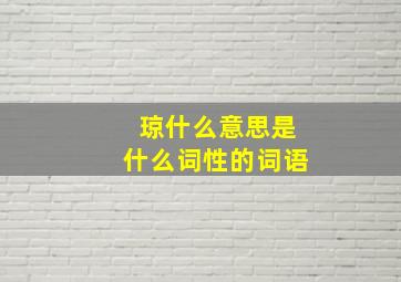 琼什么意思是什么词性的词语