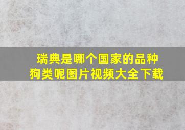 瑞典是哪个国家的品种狗类呢图片视频大全下载