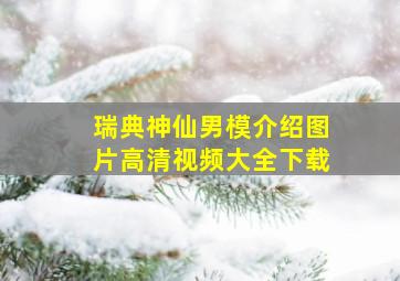 瑞典神仙男模介绍图片高清视频大全下载