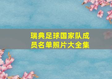 瑞典足球国家队成员名单照片大全集