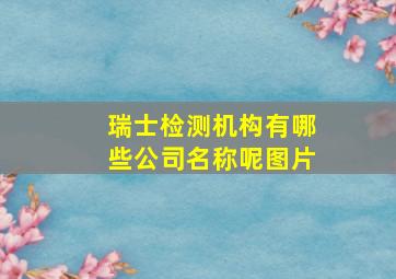 瑞士检测机构有哪些公司名称呢图片