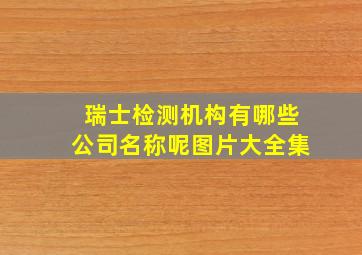 瑞士检测机构有哪些公司名称呢图片大全集