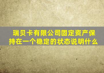 瑞贝卡有限公司固定资产保持在一个稳定的状态说明什么