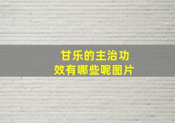 甘乐的主治功效有哪些呢图片