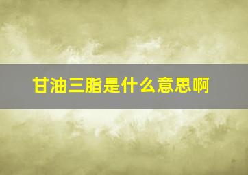 甘油三脂是什么意思啊