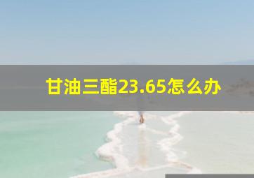 甘油三酯23.65怎么办