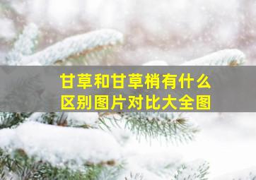 甘草和甘草梢有什么区别图片对比大全图