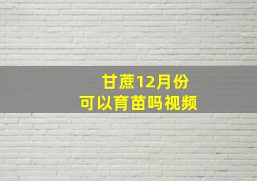 甘蔗12月份可以育苗吗视频