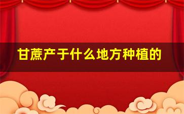 甘蔗产于什么地方种植的