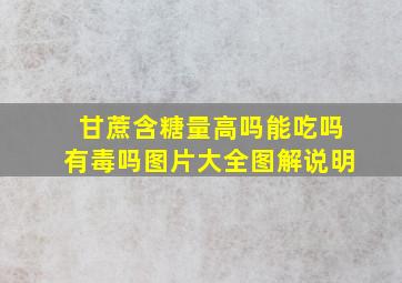 甘蔗含糖量高吗能吃吗有毒吗图片大全图解说明