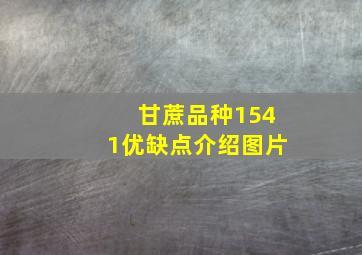 甘蔗品种1541优缺点介绍图片