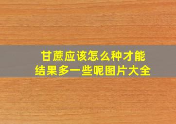 甘蔗应该怎么种才能结果多一些呢图片大全