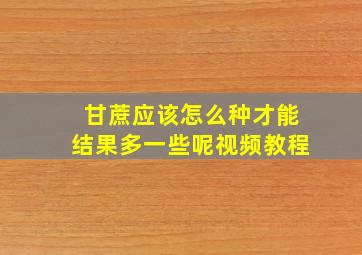 甘蔗应该怎么种才能结果多一些呢视频教程