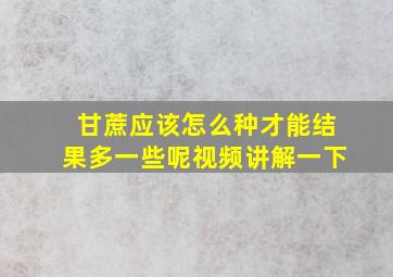 甘蔗应该怎么种才能结果多一些呢视频讲解一下