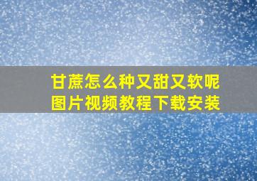 甘蔗怎么种又甜又软呢图片视频教程下载安装