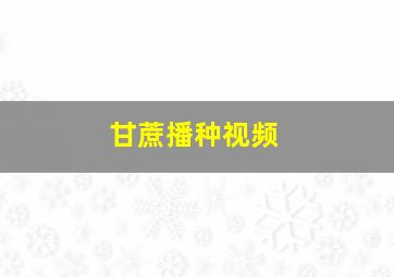 甘蔗播种视频