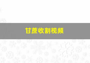 甘蔗收割视频