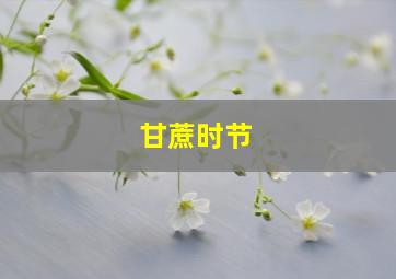 甘蔗时节