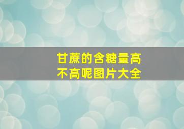 甘蔗的含糖量高不高呢图片大全