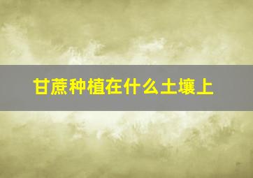 甘蔗种植在什么土壤上