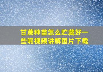 甘蔗种苗怎么贮藏好一些呢视频讲解图片下载