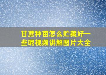 甘蔗种苗怎么贮藏好一些呢视频讲解图片大全