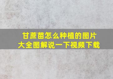 甘蔗苗怎么种植的图片大全图解说一下视频下载