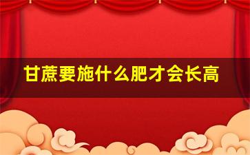 甘蔗要施什么肥才会长高