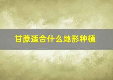 甘蔗适合什么地形种植