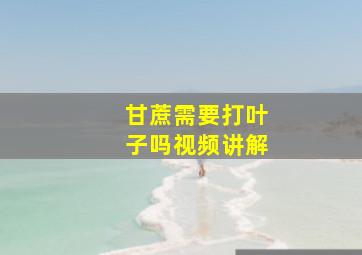 甘蔗需要打叶子吗视频讲解