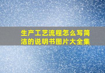 生产工艺流程怎么写简洁的说明书图片大全集