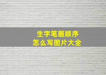 生字笔画顺序怎么写图片大全