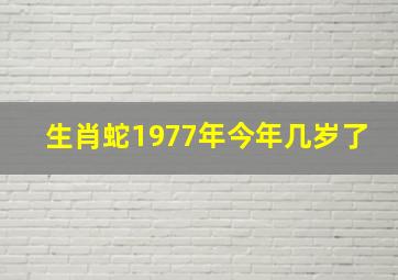 生肖蛇1977年今年几岁了