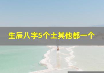 生辰八字5个土其他都一个