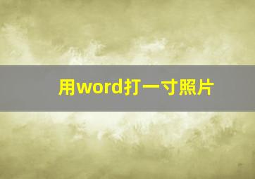 用word打一寸照片