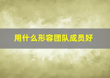 用什么形容团队成员好