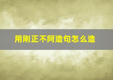 用刚正不阿造句怎么造