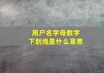 用户名字母数字下划线是什么意思