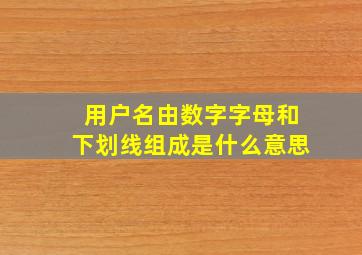 用户名由数字字母和下划线组成是什么意思